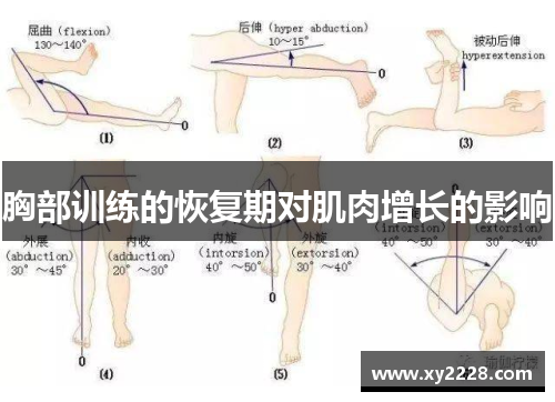 胸部训练的恢复期对肌肉增长的影响