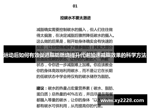 运动后如何有效促进脂肪燃烧提升代谢加速减脂效果的科学方法