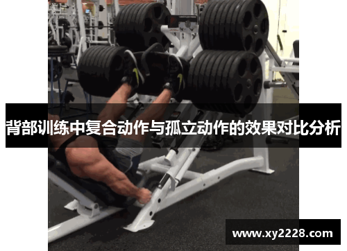背部训练中复合动作与孤立动作的效果对比分析